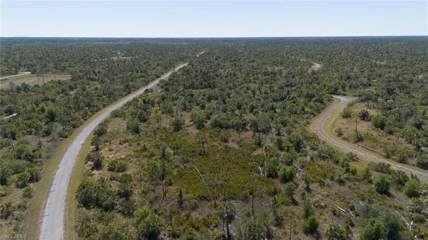Birds eye view of property with a view of trees