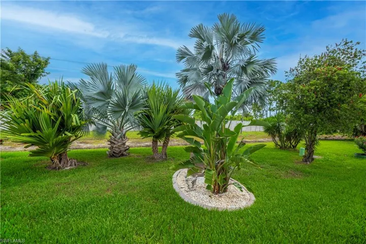 Lush landscaping featuring a variety of tropical plants, mature palm trees, and verdant green lawn