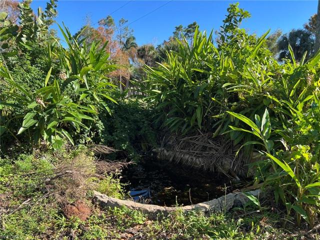 Hidden Pond!