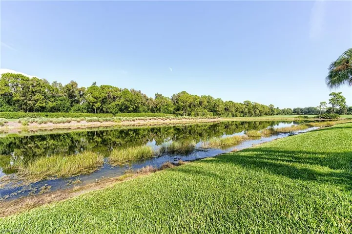 9234 Spring Run Blvd, Estero, Florida 34135