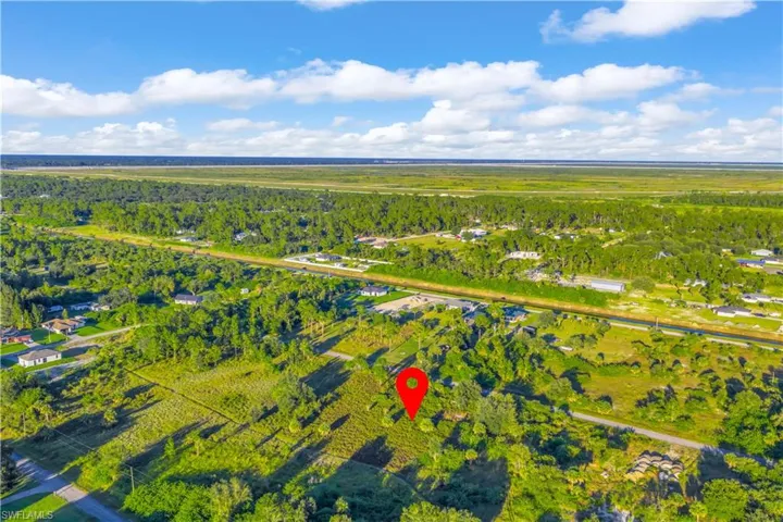Bird's eye view of a forest