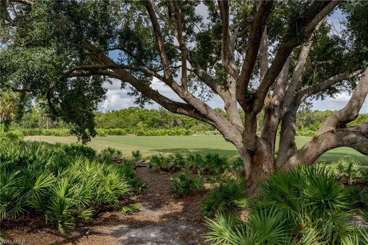 View of green lawn