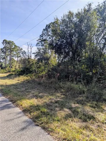 1122  Cove E ST, Lehigh Acres, FL 33974