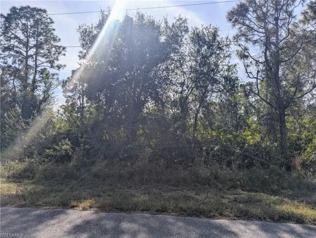 1122  Cove E ST, Lehigh Acres, FL 33974