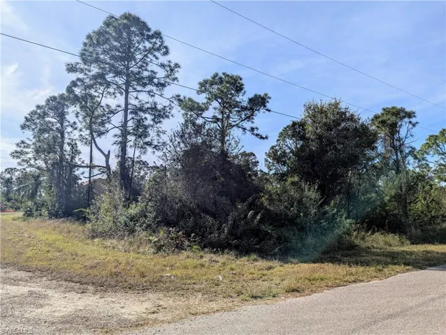1122  Cove E ST, Lehigh Acres, FL 33974
