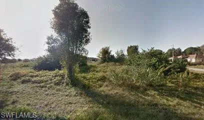 View of local wilderness