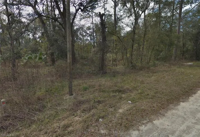 View of undeveloped land