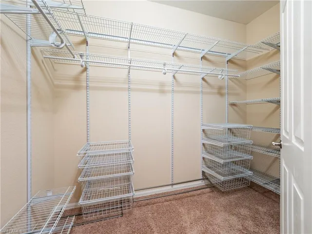 Walk in closet featuring carpet flooring