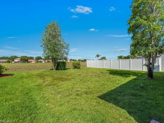 Large Backyard