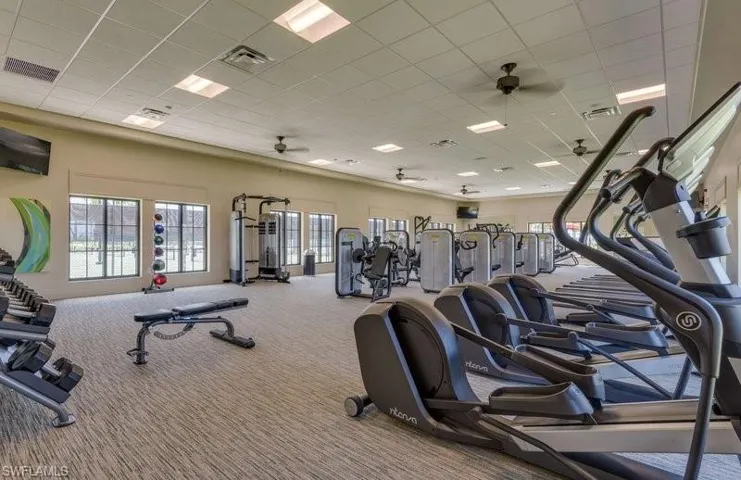 Gym featuring a paneled ceiling, ceiling fan, and carpet floors