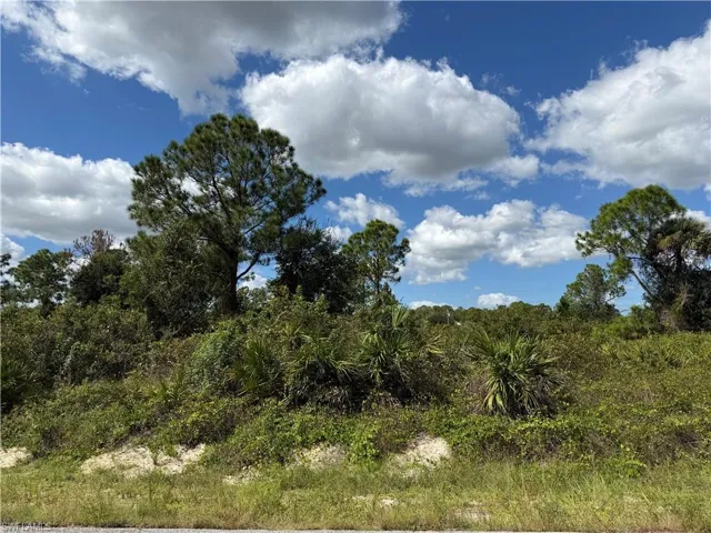 1203 Plumosa Ave, Lehigh Acres, Florida 33972