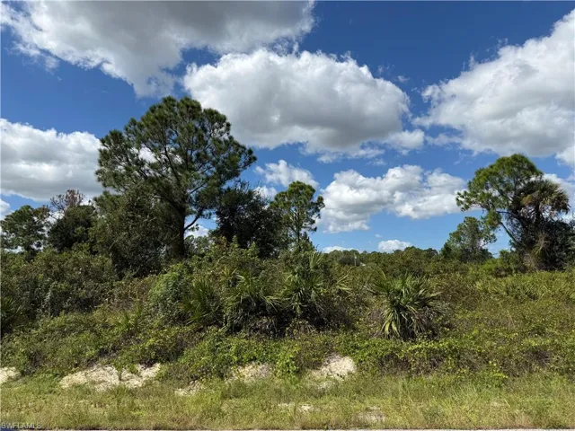 1203 Plumosa Ave, Lehigh Acres, Florida 33972