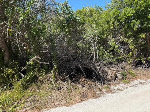 Residential Lot