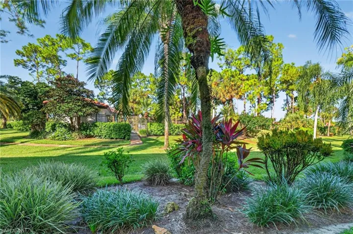 Expansive backyard featuring manicured lawn, established palm trees, diverse ornamental shrubbery, and stone-paved pathways