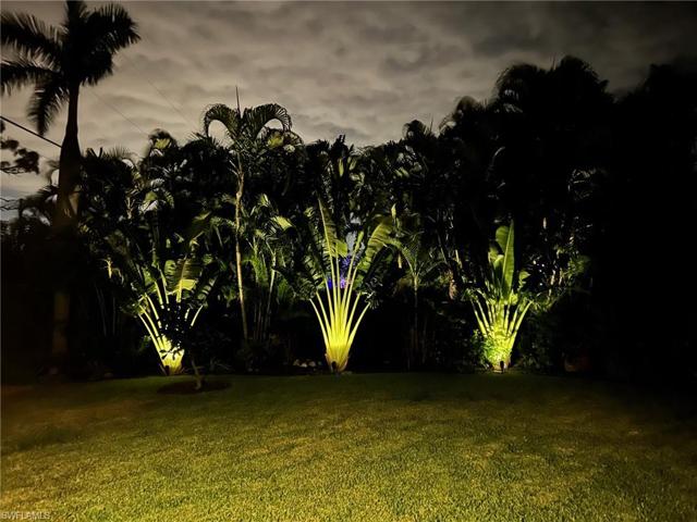 Professional nighttime landscape lighting