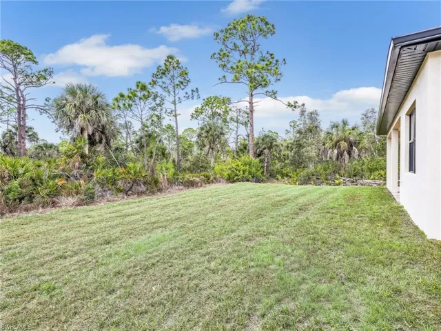 View of grassy yard