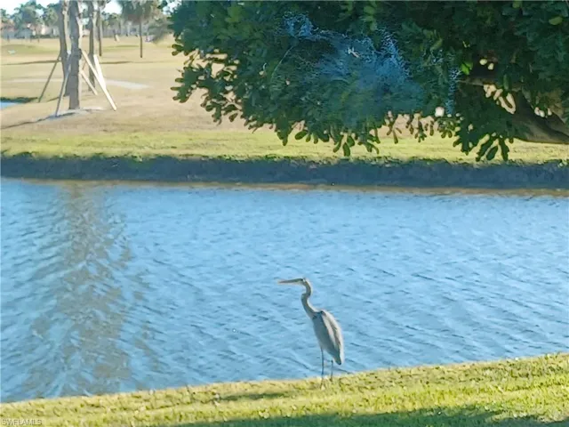 Water view