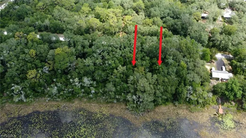 Aerial view of property and surrounding area with a forest
