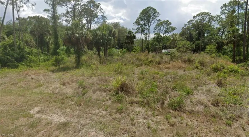 View of local wilderness