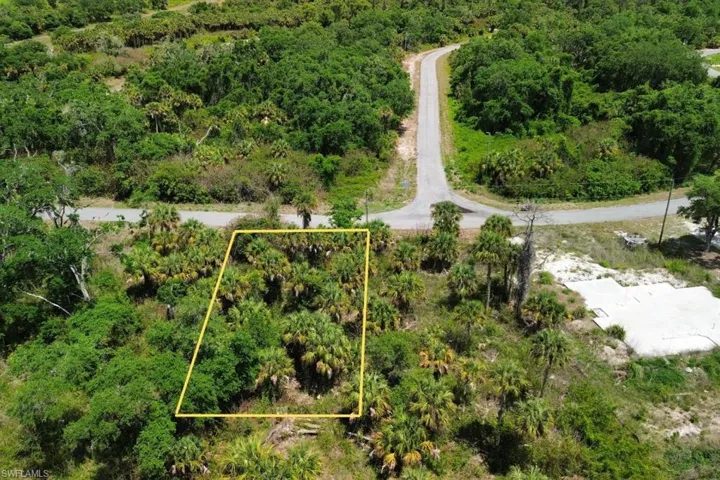 Wooded parcel featuring mature palm trees and natural foliage