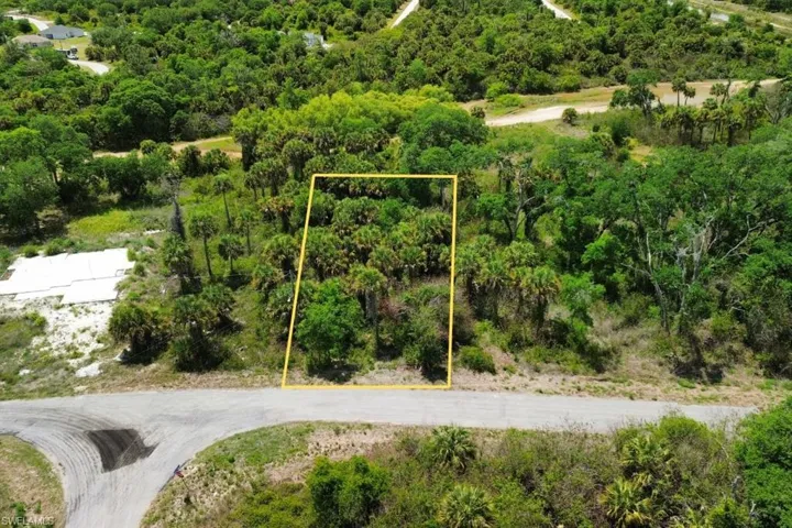 Vacant land with lush, natural vegetation and a paved road frontage
