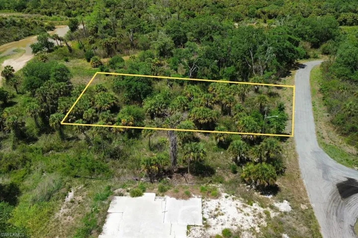 Cleared lot featuring natural vegetation, bordered by a paved road