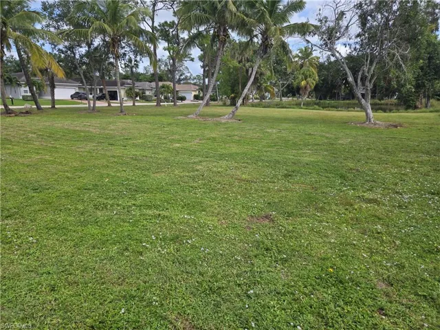 View of grassy yard