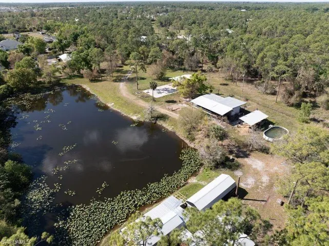 Drone / aerial view featuring a water view and a forest view