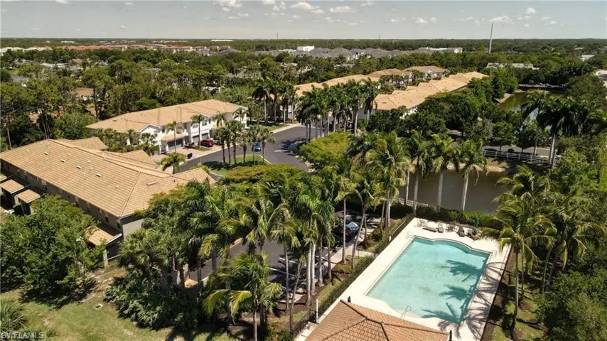 Rectangular swimming pool with a surrounding paved deck, bordered by mature palm trees