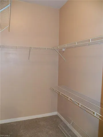 Walk in closet with carpet