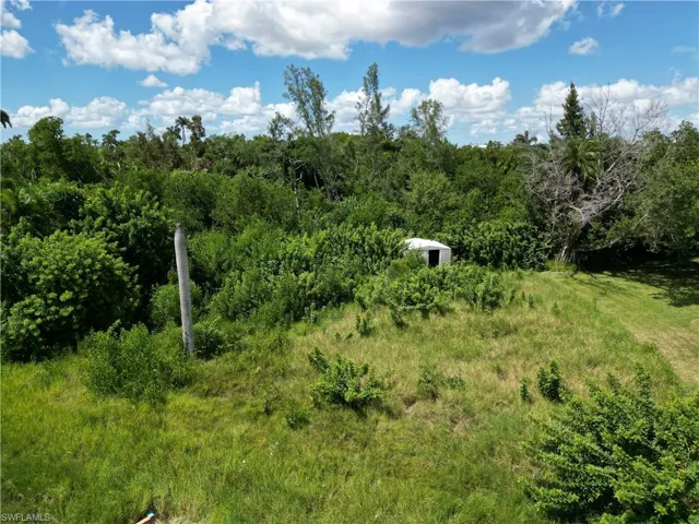 View of wooded area