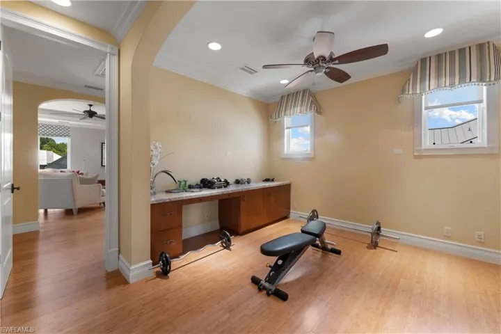 Exercise area with crown molding, a healthy amount of sunlight, light hardwood / wood-style flooring, and ceiling fan