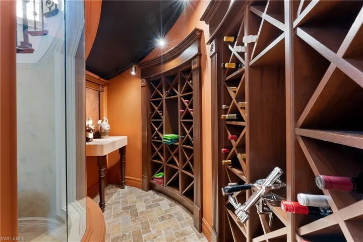 Wine cellar featuring crown molding and rail lighting