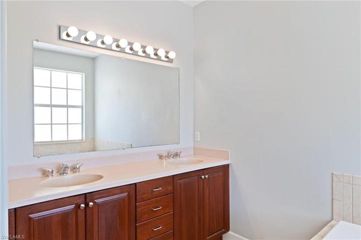 dual sinks