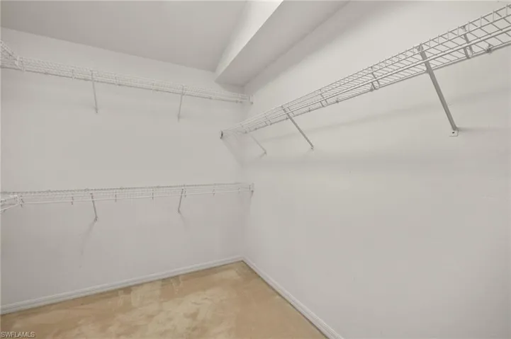 Spacious closet featuring carpet floors