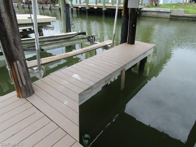 I see a Snook!