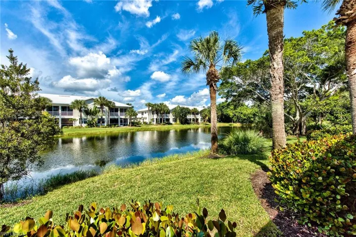 Lake view