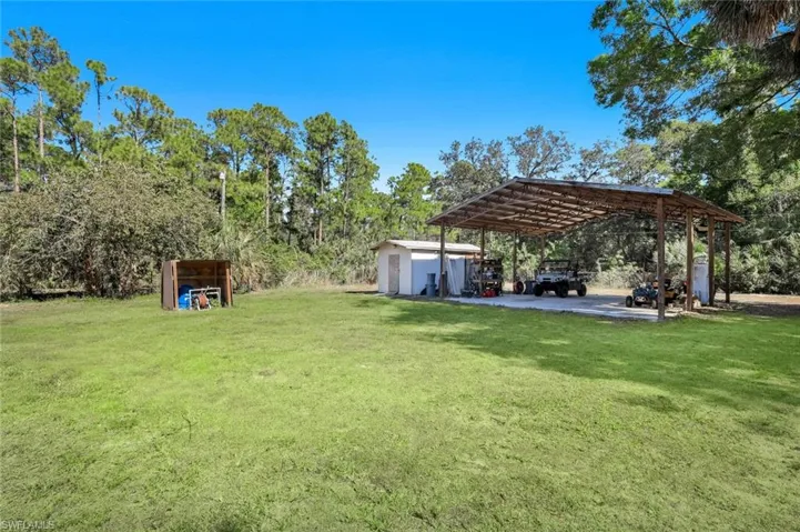 View of grassy yard with a storage shed, view of scattered trees, and a carport