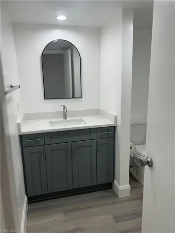 Bathroom with vanity and light wood-type flooring