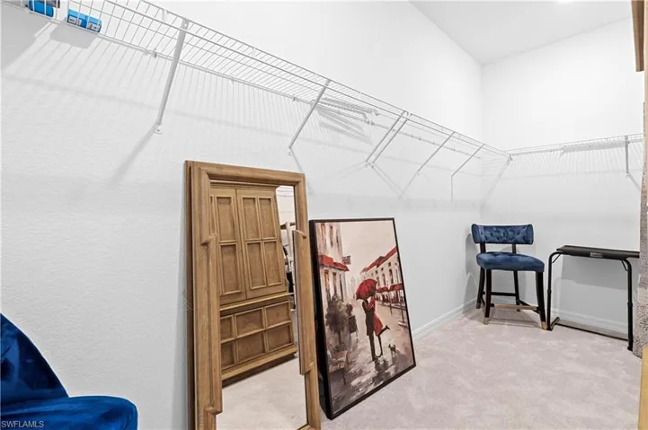 Spacious Primary closet with light carpet