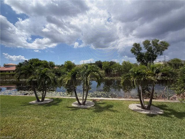 Manicured lawn with three palm trees featuring white gravel beds