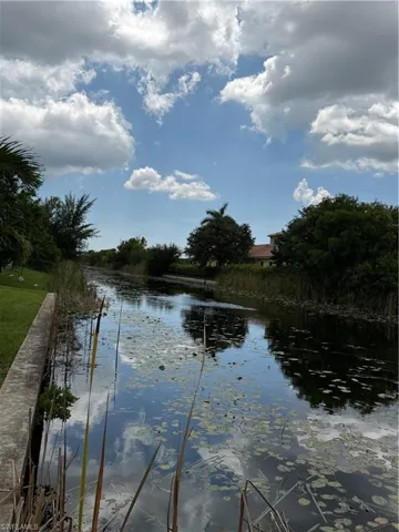 Waterway featuring aquatic vegetation and a concrete seawall