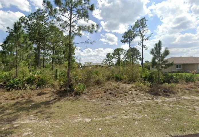 View of local wilderness