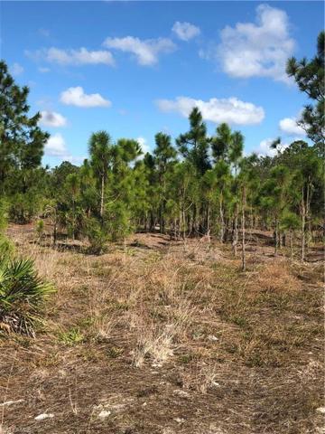 Lot is walkable and appears very dry at this time!