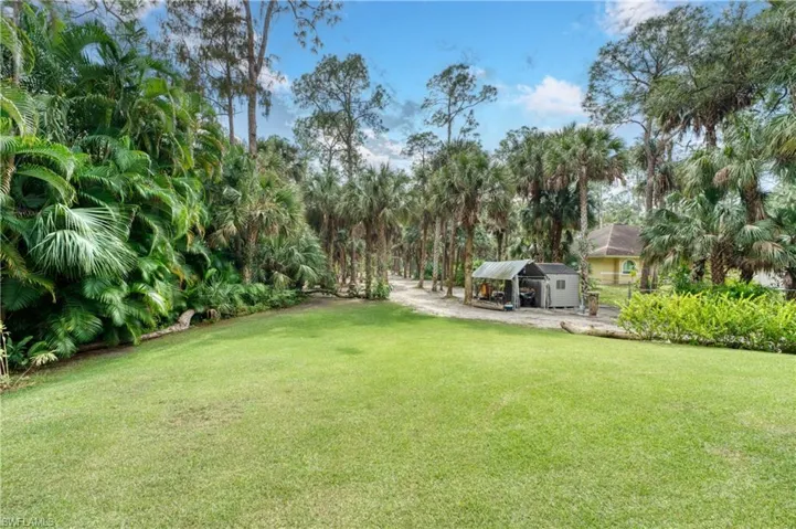 View of yard featuring a storage shed
