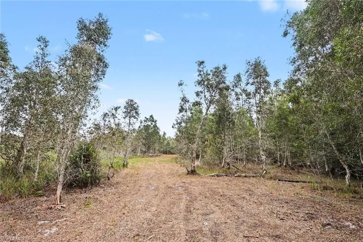 Expansive land parcel featuring natural tree coverage and a clear, unpaved pathway