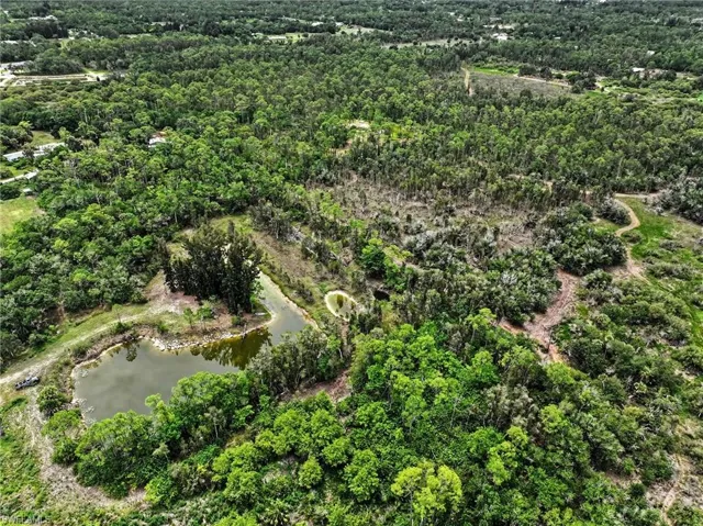 Expansive undeveloped acreage featuring multiple water bodies, dense mature trees, and natural vegetation throughout