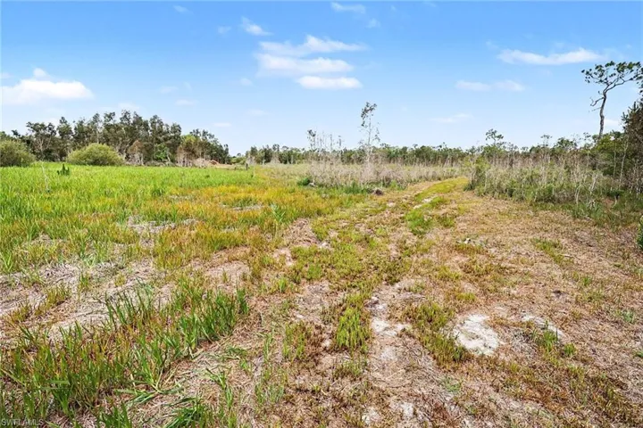 Expansive undeveloped land featuring natural vegetation and a clear sky backdrop