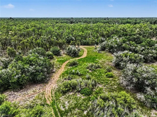 Expansive undeveloped land featuring a cleared pathway, mature trees, and natural vegetation