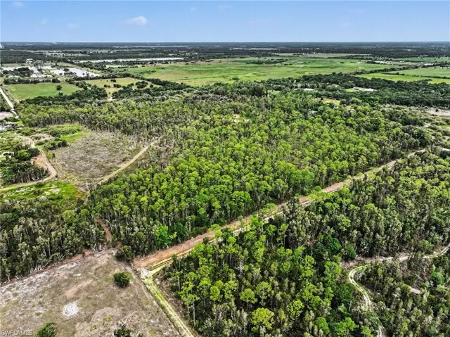 Expansive wooded parcel featuring mature trees, a cleared area, and unpaved access roads